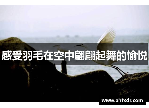 感受羽毛在空中翩翩起舞的愉悦
