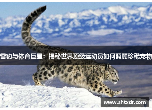 雪豹与体育巨星：揭秘世界顶级运动员如何照顾珍稀宠物